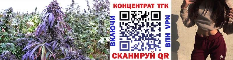 Дистиллят ТГК THC oil блэк спрут онион Топки