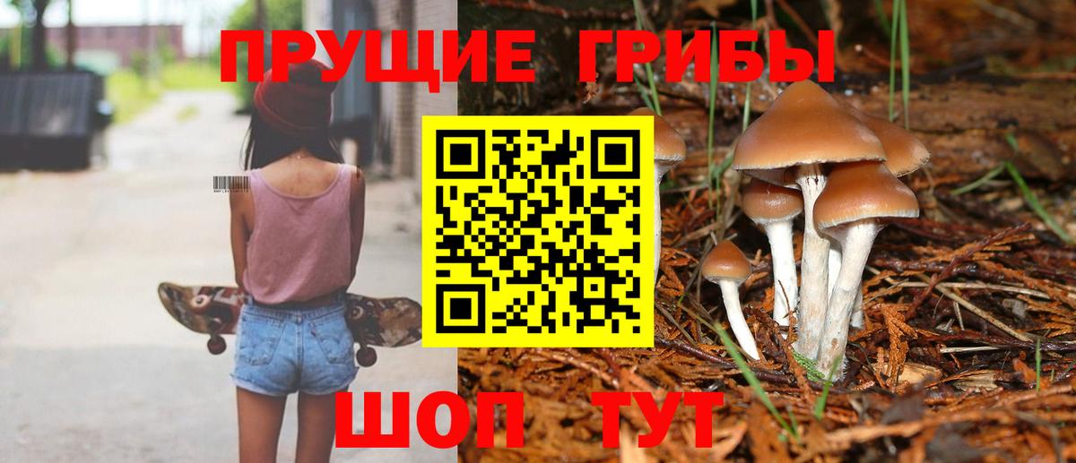 Галлюциногенные грибы MAGIC MUSHROOMS Топки