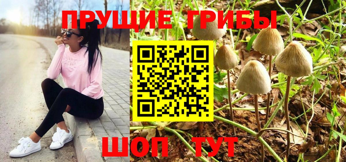 Псилоцибиновые грибы GOLDEN TEACHER  Вход с VPN  Топки 